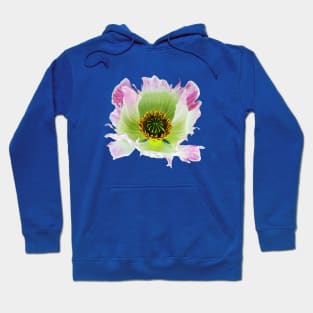 Papaver somniferum Hoodie